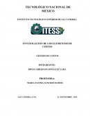 INVESTIGACION DE LOS ELEMENTOS DE COSTOS