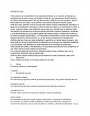 Introducción de Práctica ingeniería ambiental