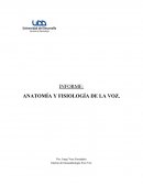 Anatomía y fisiología de la voz