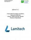 Ingeniería Industrial.Prácticas Profesionales