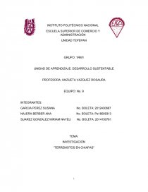 INVESTIGACIÓN “TERREMOTOS EN CHIAPAS”. Página 1