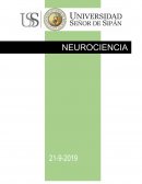 LA NEUROCIENCIA COGNICIÓN