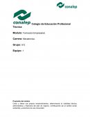 Formacion empresarial “Wallie”