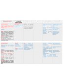 Plan de desarrollo profesional