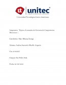 Tópicos Avanzados de Gerencia de Competencias Directivas