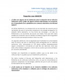 Preguntas caso AMAZON