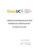 ANALISIS DE SUSTENTABILIDAD DE LAS PYMES MADERERAS EN LA REGION DEL BIO-BIO
