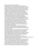 Relacion de la bioingenieria con los alimentos