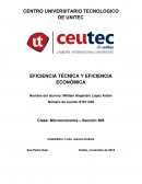 Eficiencia Técnica y Eficiencia Económica