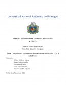 Caso práctico – Análisis Financiero de Corporación Total S.A.E.C.A & subsidiarias