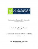 Concepto de Ciencia, de la Teoría a la Práctica