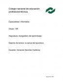 Reporte de lectura, La panza del tepozteco