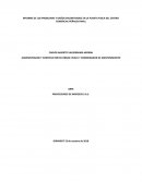 INFORME DE LOS PROBLEMAS Y DAÑOS ENCONTRADOS EN LA PLANTA FISICA DEL CENTRO COMERCIAL PEÑALISA MALL