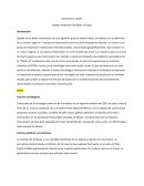 Cluster interceramic