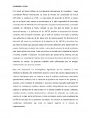 Contaduria Publica y Auditoria