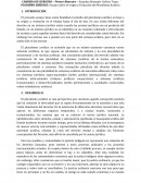 PLURALISMO JURÍDICO - Ensayo de la evolución del pluralismo