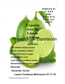 Proyecto de exportación de limón de Mexico a China