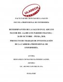 DETERMINANTES DE LA SALUD EN EL ADULTO MAYOR DEL AA.HH LUIS PAREDES MACEDA