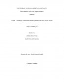 Didáctica Unidad 1- Desarrollo al profesional docente- Identificación en un estudio de caso
