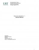 Informe de Laboratorio n° 1: “Nutrición Mineral”