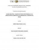 HIGIENE INDUSTRIAL Y EQUIPOS DE PROTECCIÓN PERSONAL EN LA PRODUCCIÓN DE ALIMENTOS DE LAS EMPRESAS DE LA PROVINCIA DE BAGUA
