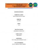 Informe enfermeria comunitaria