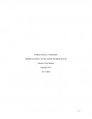 FORMULACIÓN Y EVALUACIÓN DE PROYECTOS compañía agrícola CSoffia