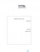 Memoria a corto plazo