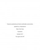 Trastornos producidos por factores ambientales, psicosociales, productivos y biomecánicos