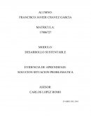 Desarrollo sustentable, Solución situación problemática