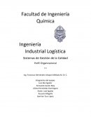 Sistemas de Gestión de la Calidad . Perfil Organizacional ALPHA MUSIC ACADEMY