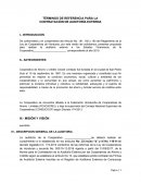 TÉRMINOS DE REFERENCIA PARA LA CONTRATACIÓN DE AUDITORÍA EXTERNA