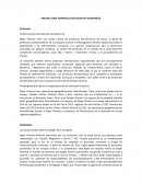ANALISIS FODA FARMACEUTICAS BAYER BY DUMPWEED