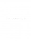 Ensayo Impacto de la reforma laboral 2017 en las trabajadoras puertorriqueñas