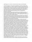 IMPORTANCIA DE LA LECTURA Y REDACCIÓN EN EL MUNDO CONTEMPORÁNEO