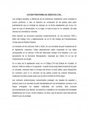 Acción proforma en derecho civil