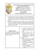 Principios fundamentales del Proceso Penal