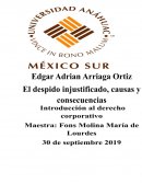 El despido injustificado, causas y consecuencias