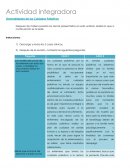 Actividad integradora. Generalidades de los cuidados paliativos