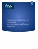 CONSULTORIA ESTRATEGIA DE LA EMPRESA: RECUPERADORA DE PLÁSTICOS MARÍA JOSÉ