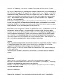 Influencia del Reggaetón en el mundo- Ventajas y Desventajas de Como se Nos Percibe