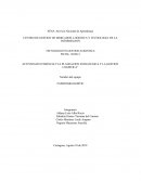 Actividad ”La planeacion estrategica y la gestion logistica”