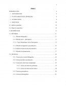 Informe psicoeducativo