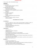 LEUCOCITOS 2ºLABORATORIO