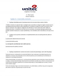 Guía de reflexión Capítulo 16 – Control delito y desviación. Página 1
