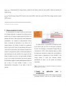 Almacenamiento de energía térmica, sistema de calor latente, sistema de calor sensible, sistema de materiales de cambio de fase