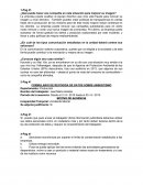 Actividades finales de recursos humanos