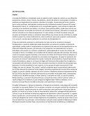 SECTOR CULTURA Pitalito