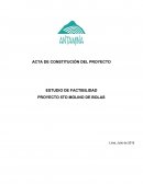ESTUDIO DE FACTIBILIDAD PROYECTO 5TO MOLINO DE BOLAS