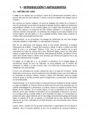 Antecedentes e historia del vino en España